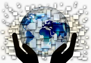 米兰体育app入口-中国篮球青训体系课程体系优化方案，青训篮球课程教案大全